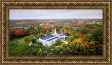 Load image into Gallery viewer, Palmyra and Sacred Grove Aerial