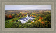 Load image into Gallery viewer, Palmyra and Sacred Grove Aerial