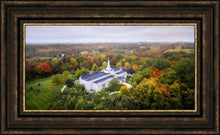Load image into Gallery viewer, Palmyra and Sacred Grove Aerial