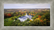 Load image into Gallery viewer, Palmyra and Sacred Grove Aerial