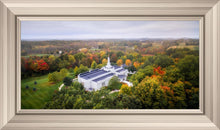 Load image into Gallery viewer, Palmyra and Sacred Grove Aerial