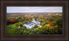 Load image into Gallery viewer, Palmyra and Sacred Grove Aerial