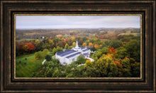 Load image into Gallery viewer, Palmyra and Sacred Grove Aerial