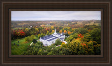 Load image into Gallery viewer, Palmyra and Sacred Grove Aerial