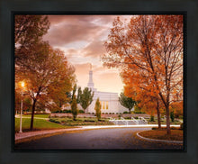 Load image into Gallery viewer, Palmyra Autumn