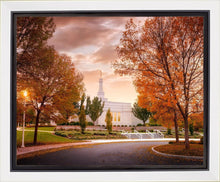 Load image into Gallery viewer, Palmyra Autumn