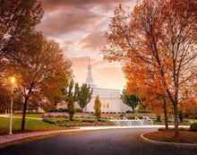 Load image into Gallery viewer, Palmyra Autumn