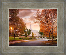 Load image into Gallery viewer, Palmyra Autumn