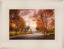 Load image into Gallery viewer, Palmyra Autumn