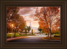 Load image into Gallery viewer, Palmyra Autumn