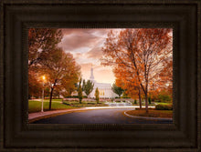 Load image into Gallery viewer, Palmyra Autumn