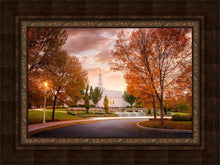 Load image into Gallery viewer, Palmyra Autumn