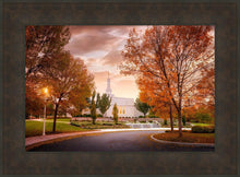 Load image into Gallery viewer, Palmyra Autumn