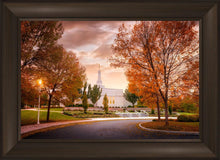 Load image into Gallery viewer, Palmyra Autumn