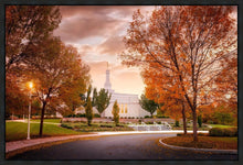 Load image into Gallery viewer, Palmyra Autumn