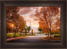 Load image into Gallery viewer, Palmyra Autumn