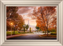 Load image into Gallery viewer, Palmyra Autumn