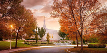 Load image into Gallery viewer, Palmyra Autumn