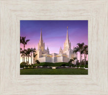 Load image into Gallery viewer, San Diego Lavender