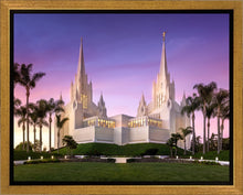 Load image into Gallery viewer, San Diego Lavender