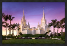 Load image into Gallery viewer, San Diego Lavender