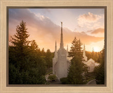 Load image into Gallery viewer, Portland High Glow