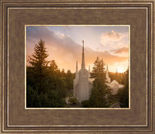Load image into Gallery viewer, Portland High Glow