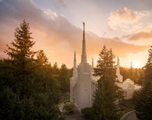 Load image into Gallery viewer, Portland High Glow