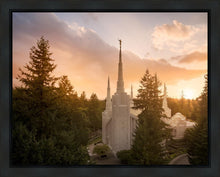 Load image into Gallery viewer, Portland High Glow