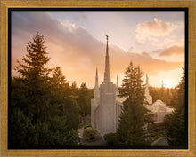 Load image into Gallery viewer, Portland High Glow
