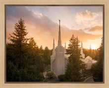 Load image into Gallery viewer, Portland High Glow