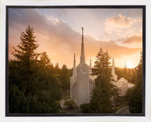 Load image into Gallery viewer, Portland High Glow