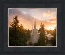 Load image into Gallery viewer, Portland High Glow