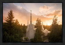 Load image into Gallery viewer, Portland High Glow