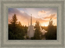Load image into Gallery viewer, Portland High Glow