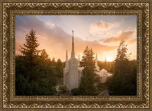 Load image into Gallery viewer, Portland High Glow