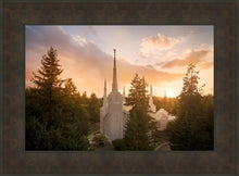 Load image into Gallery viewer, Portland High Glow