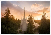 Load image into Gallery viewer, Portland High Glow