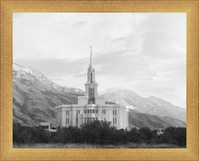 Load image into Gallery viewer, Payson High Key