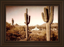 Load image into Gallery viewer, Phoenix Saguaro Cactus