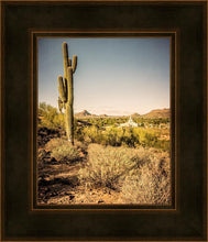 Load image into Gallery viewer, Phoenix Cactus Hill