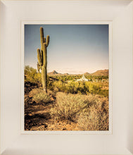 Load image into Gallery viewer, Phoenix Cactus Hill