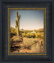 Load image into Gallery viewer, Phoenix Cactus Hill