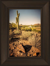 Load image into Gallery viewer, Phoenix Cactus Hill