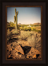 Load image into Gallery viewer, Phoenix Cactus Hill