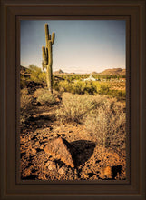 Load image into Gallery viewer, Phoenix Cactus Hill