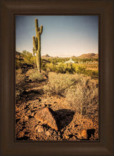 Load image into Gallery viewer, Phoenix Cactus Hill