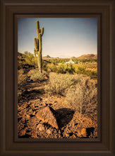 Load image into Gallery viewer, Phoenix Cactus Hill