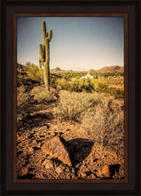 Load image into Gallery viewer, Phoenix Cactus Hill