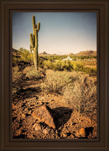 Load image into Gallery viewer, Phoenix Cactus Hill